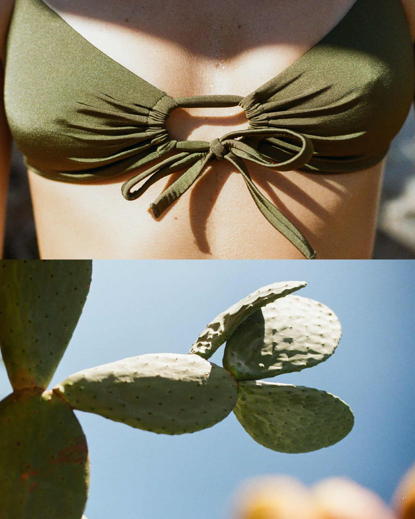 Oy surf - Joran Bikinitop | Pine Green Shine